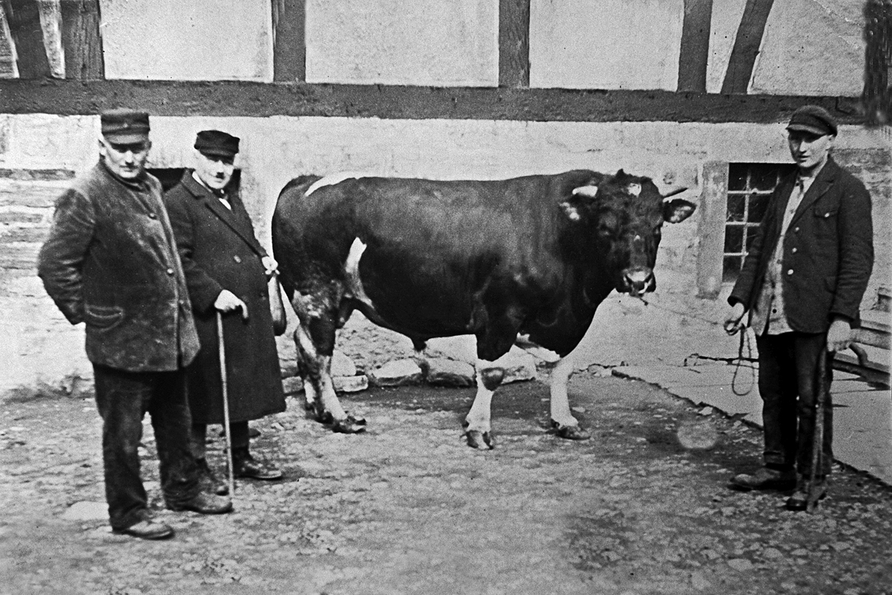 Rudolf & Hertha Freudenthal Synagoge